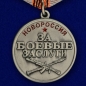 Медаль "За боевые заслуги Новороссии". Фотография №2