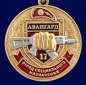 Медаль За службу в 17-м ОСН "Авангард". Фотография №2