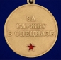Медаль За службу в 17-м ОСН "Авангард". Фотография №3