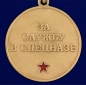 Медаль За службу в 23-м ОСН "Оберег". Фотография №3