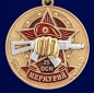 Медаль За службу в 25-м ОСН "Меркурий". Фотография №2