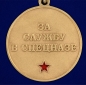 Медаль За службу в 30-м ОСН "Святогор" . Фотография №3