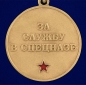 Медаль За службу в 33-м ОСН "Пересвет". Фотография №3