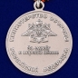 Медаль За службу в морской пехоте. Фотография №2