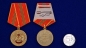 Медаль "За службу в спецназе ВВ". Фотография №5