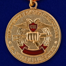 Медаль За службу в спецназе ВВ  фото
