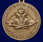 Медаль "За службу в Войсках РХБЗ". Фотография №3