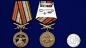 Медаль "За службу в Войсках РХБЗ". Фотография №6