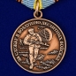 Медаль За службу в Воздушно-десантных войсках. Фотография №1