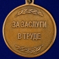 Медаль Росгвардии "За заслуги в труде". Фотография №2