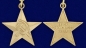 Медаль "Герой Социалистического Труда СССР". Фотография №4