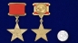 Медаль "Герой Социалистического Труда СССР". Фотография №5