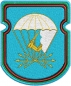 Нарукавный знак "674 батальон связи 98 ВДД ВДВ". Фотография №1