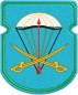 Нарукавный знак ВДВ "91 отдельный десантно-штурмовой батальон". Фотография №1