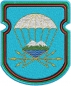 Нашивка-эмблема "743 отдельный батальон связи 7 ДШД". Фотография №1