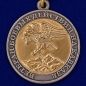 Медаль «Ветеран боевых действий на Кавказе». Фотография №2
