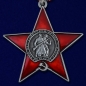 Орден "100 лет Красной Армии и Флоту". Фотография №2