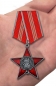 Орден "100 лет Красной Армии и Флоту". Фотография №6