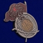 Орден Красного Знамени Грузинской ССР. Фотография №2