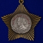 Орден Суворова II степени (на колодке). Фотография №2