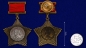 Орден Суворова II степени (на колодке). Фотография №5