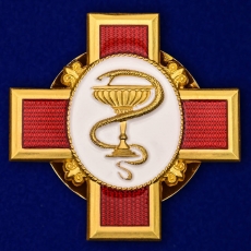 Орден "За заслуги в медицине"  фото