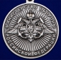 Памятная медаль МО "За службу в Морской пехоте". Фотография №3