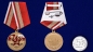 Памятная медаль "Северная группа войск". Фотография №6