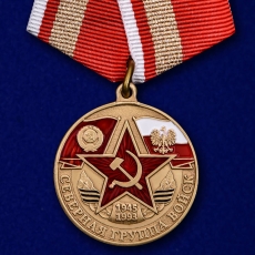 Памятная медаль "Северная группа войск" фото