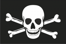 Флаг "Пиратский" с костями фото