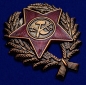 Знак Красного командира (1918-1922 гг.). Фотография №2