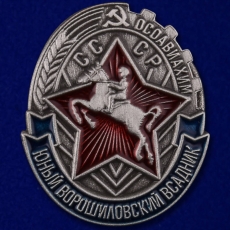 Знак Юный Ворошиловский всадник Осоавиахим СССР  фото