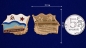 Знак "За дальний поход" ВМФ СССР. Фотография №3