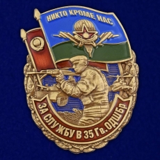 Знак «За службу в 35 гв. ОДШБр» фото